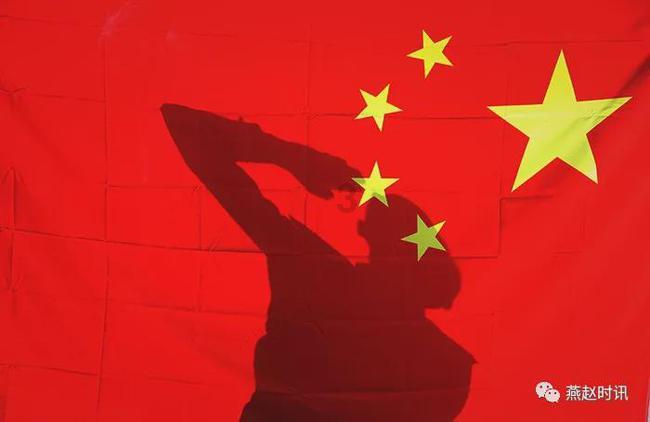 解救金刚鹦鹉